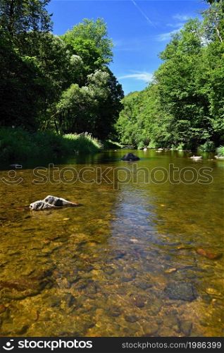 Beautiful summer landscape with river, forest, sun and blue skies. Natural background. Green.