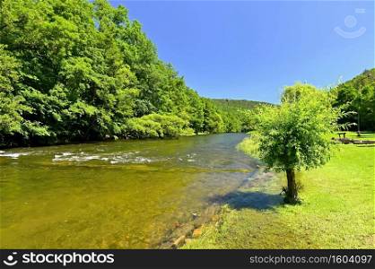 Beautiful summer landscape with river, forest, sun and blue skies. Natural colorful background. Jihlava River, Czech Republic - Europe.