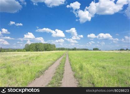 beautiful summer landscape with road and blue sky