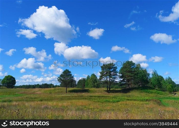 Beautiful summer landscape with sky, clouds, grass and forest