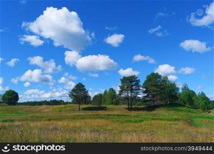 Beautiful summer landscape with sky, clouds, grass and forest