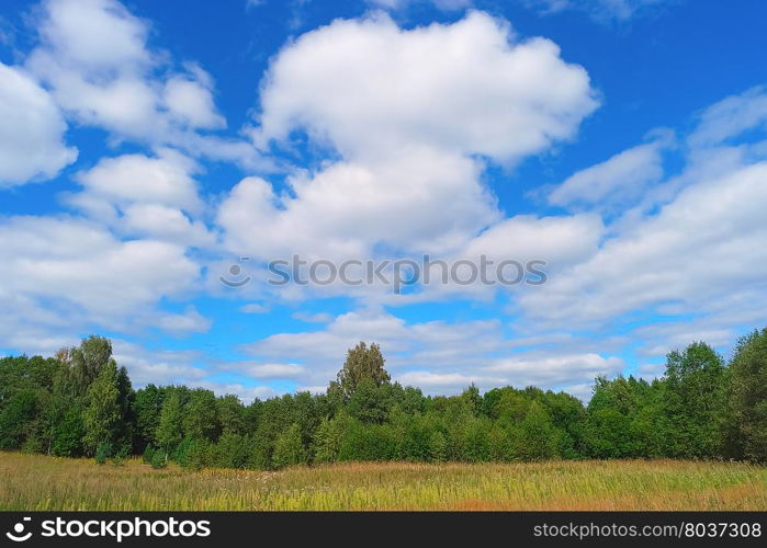 Beautiful summer landscape with sky, clouds, grass and trees