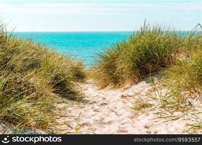 Beautiful summer landscape with the dunes covered with marram grass and the blue North Sea water in the background