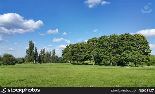 Beautiful summer landscape with trees and bright blue sky with white clouds