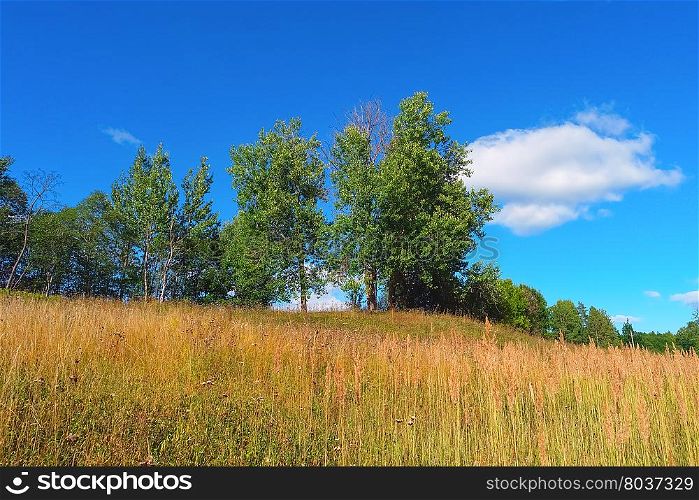 Beautiful summer landscape with trees, grass, sky and clouds
