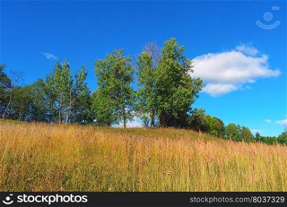 Beautiful summer landscape with trees, grass, sky and clouds