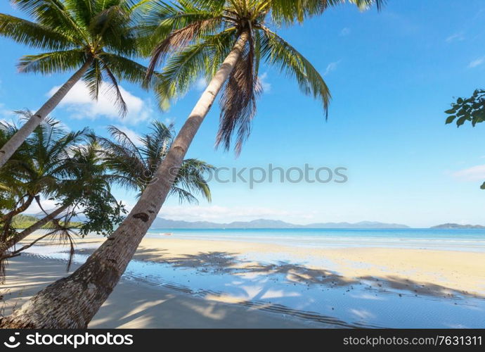 Beautiful summer landscapes on the tropical beach