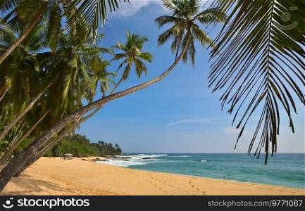 Beautiful summer landscapes  on the tropical beach. Vacation background.