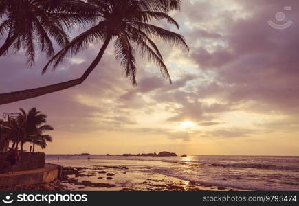 Beautiful summer landscapes  on the tropical beach. Vacation background.