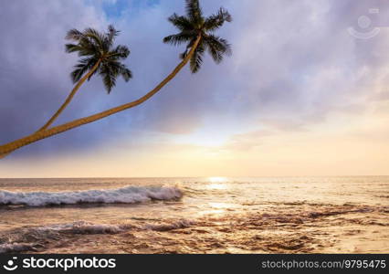 Beautiful summer landscapes  on the tropical beach. Vacation background.