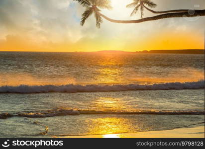 Beautiful summer landscapes  on the tropical beach. Vacation background.