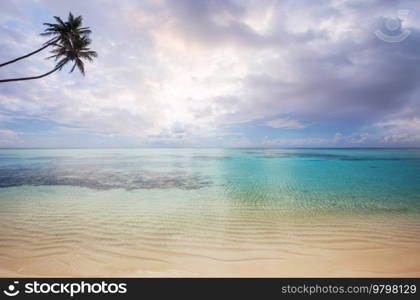 Beautiful summer landscapes  on the tropical beach. Vacation background.