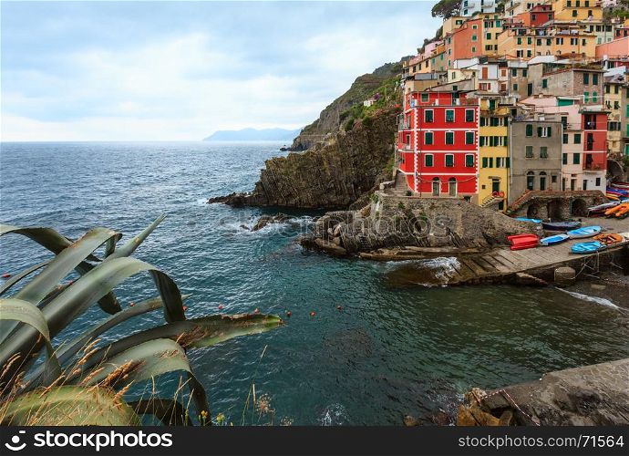 Beautiful summer Manarola - one of five famous villages of Cinque Terre National Park in Liguria, Italy, suspended between Ligurian sea and land on sheer cliffs.