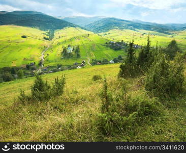 beautiful summer mountain and small village on mountainside (Carpathian. Ukraine)