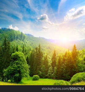 Beautiful summer mountain landscape. Vast meadows and forest. Beautiful blazing sunset.