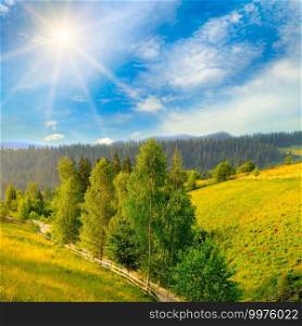 Beautiful summer mountain landscape. Vast meadows and forest lit by the midday sun.