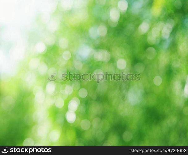 Beautiful summer or spring abstract natural bokeh background