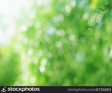 Beautiful summer or spring abstract natural bokeh background