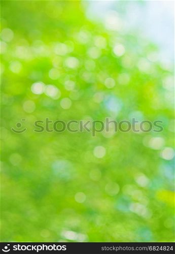 Beautiful summer or spring abstract natural bokeh background