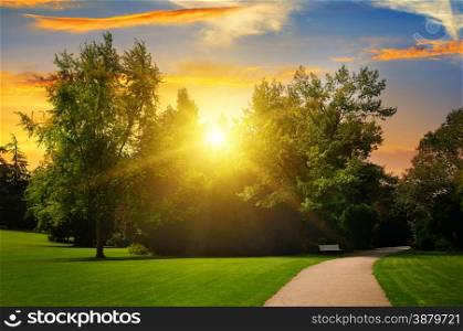 beautiful summer park and sunset