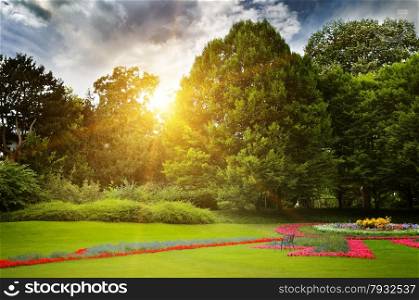 beautiful summer park and sunset
