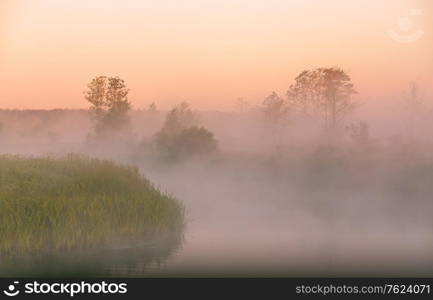 Beautiful summer sunrise rural landscape. Morning fog on river. Trees misty reflection in water. River Neman, Belarus