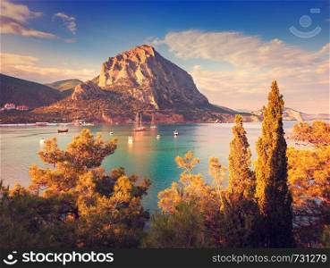Beautiful summer sunset at the sea with mountains and trees in Crimea