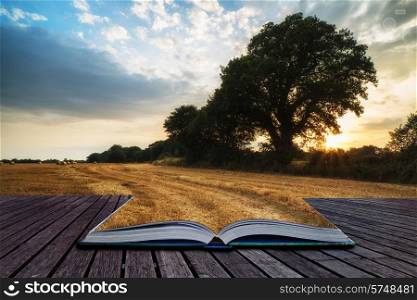 Beautiful Summer sunset over field of hay bales in countryside landscape conceptual book image