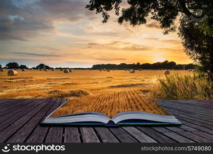 Beautiful Summer sunset over field of hay bales in countryside landscape conceptual book image