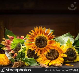 Beautiful sunflowers on dark wooden background