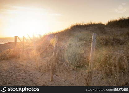 Beautiful sunlight landscape with added lens flare effect