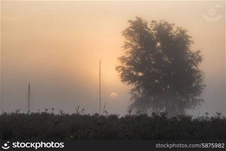 Beautiful sunrise glow over foggy river in countryside landscape