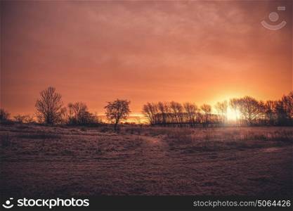 Beautiful sunrise in a countryside landscape in the morning with tree silhouettes on a field with frost in the winter
