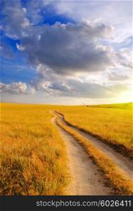 Beautiful Sunrise in the steppe over the Dirt road. Summer landscape.