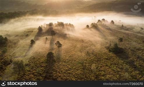 Beautiful sunrise landscape image of drone aerial view of Autumn Fall forest scene