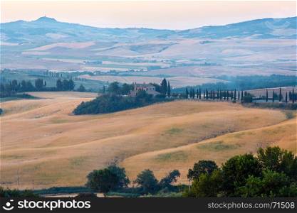 Beautiful sunrise landscape of summer countryside with wheat field and olives tree
