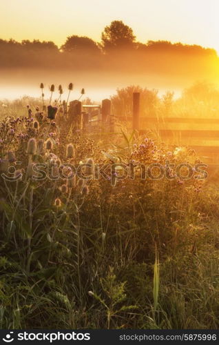 Beautiful sunrise landscape over foggy English countryside with glowing sun