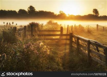 Beautiful sunrise landscape over foggy English countryside with glowing sun