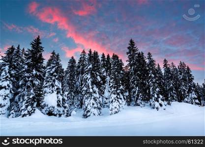 Beautiful Sunrise near Madonna di Campiglio Ski Resort, Italian Alps, Italy