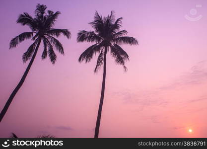 beautiful sunrise on beach and tropical sea in summer