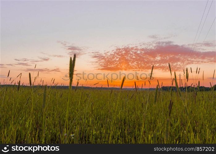 Beautiful sunrise over a wheat field