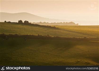 Beautiful sunrise over English countryside landscape in Summer