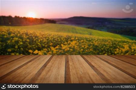 Beautiful sunrise over field of rapeseed in countryside in Spring with wooden planks floor platform. Beautiful sunrise over field of rapeseed in countryside in Spring with wooden planks floor