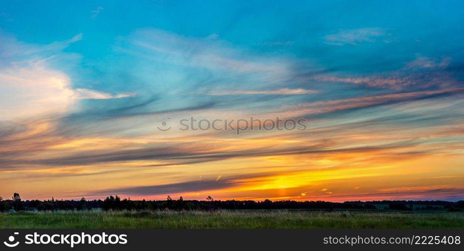 Beautiful sunrise over green field in a summer morning