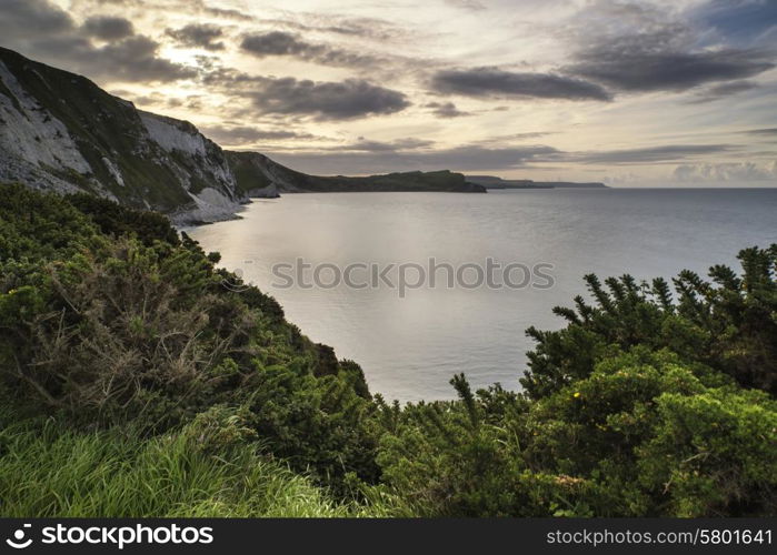 Beautiful sunrise over Mupe Bay landscape on Summer morning