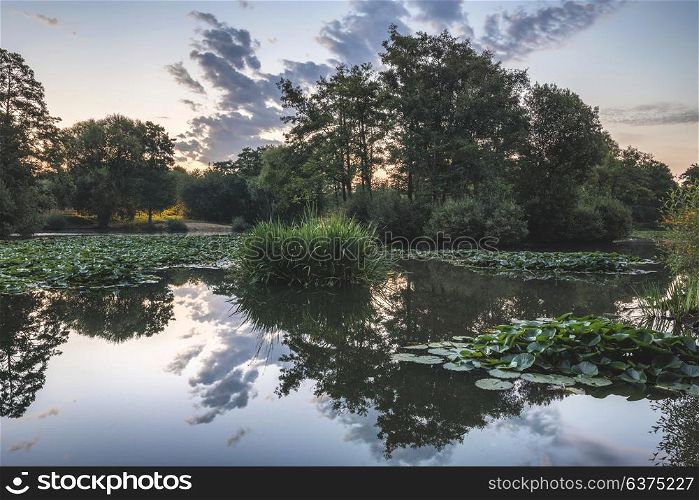 Beautiful sunrise Summer landscape over calm perfectly still pond with stunning reflections