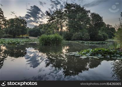 Beautiful sunrise Summer landscape over calm perfectly still pond with stunning reflections