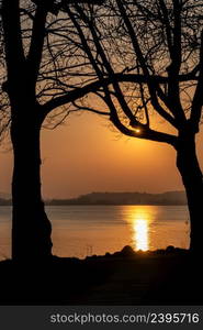 Beautiful sunset at Lake Constance with trees in the foreground and a view of the lake