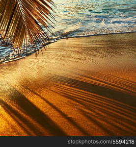 Beautiful sunset at Seychelles beach with palm tree shadow over sand