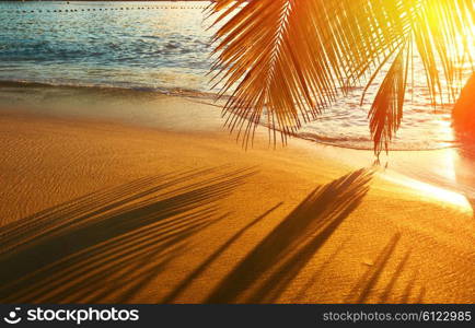 Beautiful sunset at Seychelles beach with palm tree shadow over sand